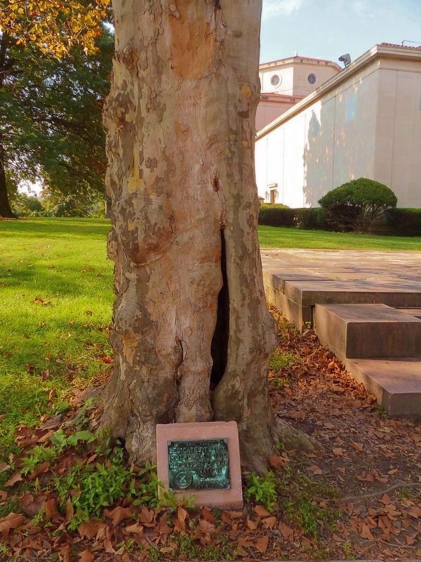 Mothers' Tree image. Click for full size.