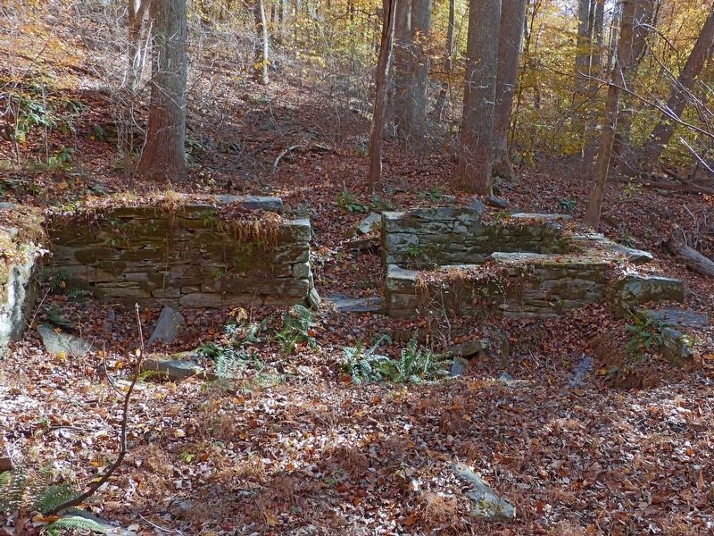 Waters' Mill Ruins image. Click for full size.