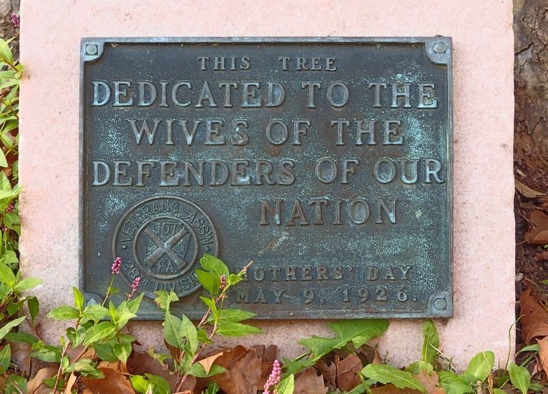 Wives' Tree image. Click for full size.