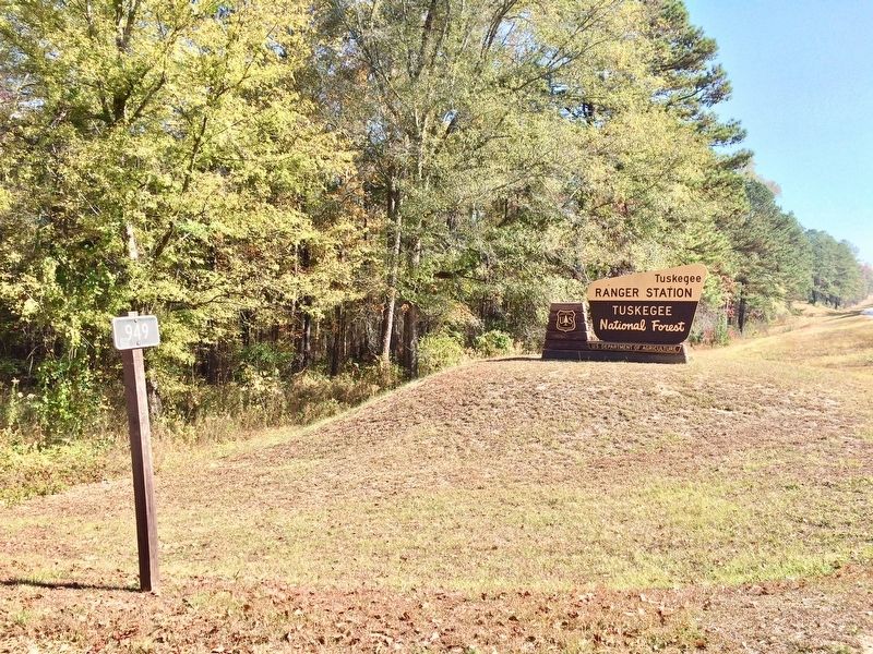 Entrance to Tuskegee National Forest Road 949 and to the Ranger Station off Alabama Highway 186. image. Click for full size.