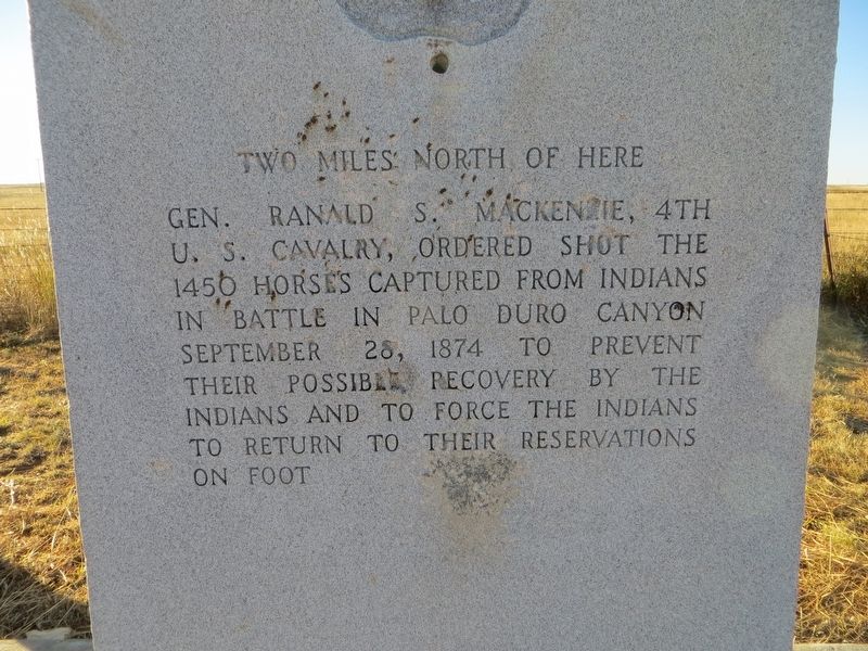 Palo Duro Canyon Marker image. Click for full size.