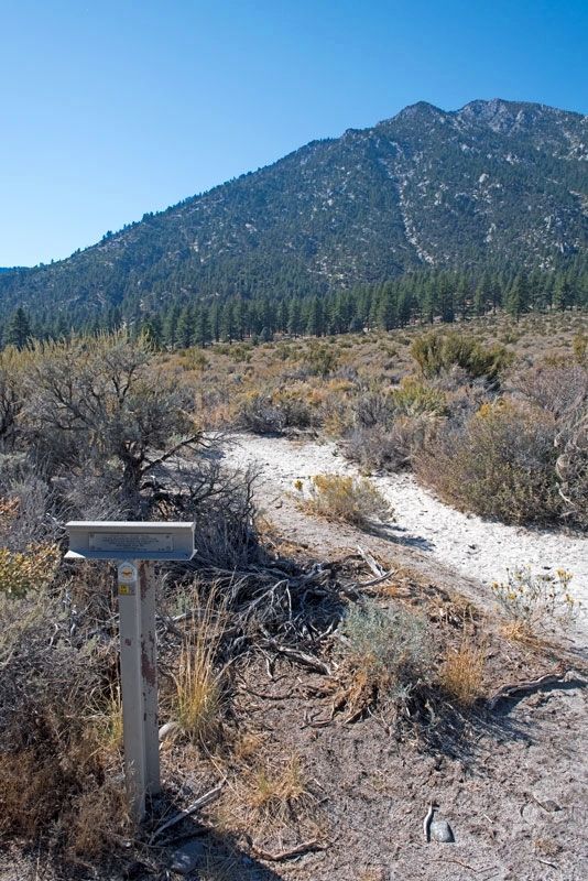 Carson Trail - Upland Travel Marker. Click for full size. Carson Trail - Upland Travel Marker image. Click for full size.