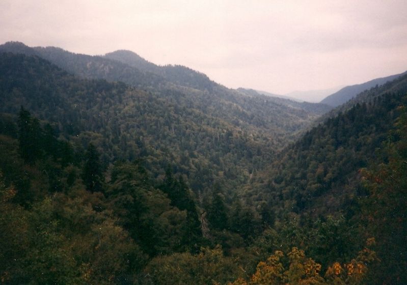 Great Smokey Mountains image. Click for full size.