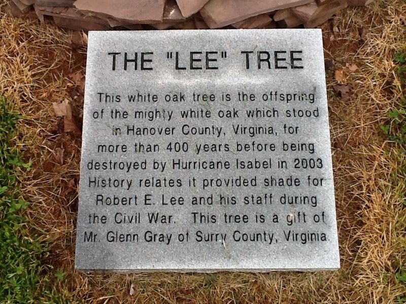 The "Lee" Tree Marker image. Click for full size.