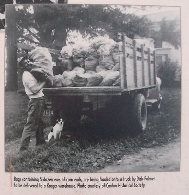 Farming in Canton: The Sweet Corn Capitol of Michigan lower right image. Click for full size. Farming in Canton: The Sweet Corn Capitol of Michigan lower right image image. Click for full size.