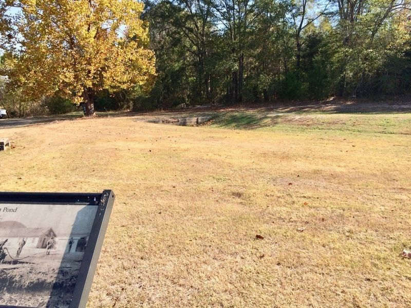 Approximate site of the Fire Suppression Pond can be seen in background.. Click for full size. Approximate site of the Fire Suppression Pond can be seen in background. image. Click for full size.