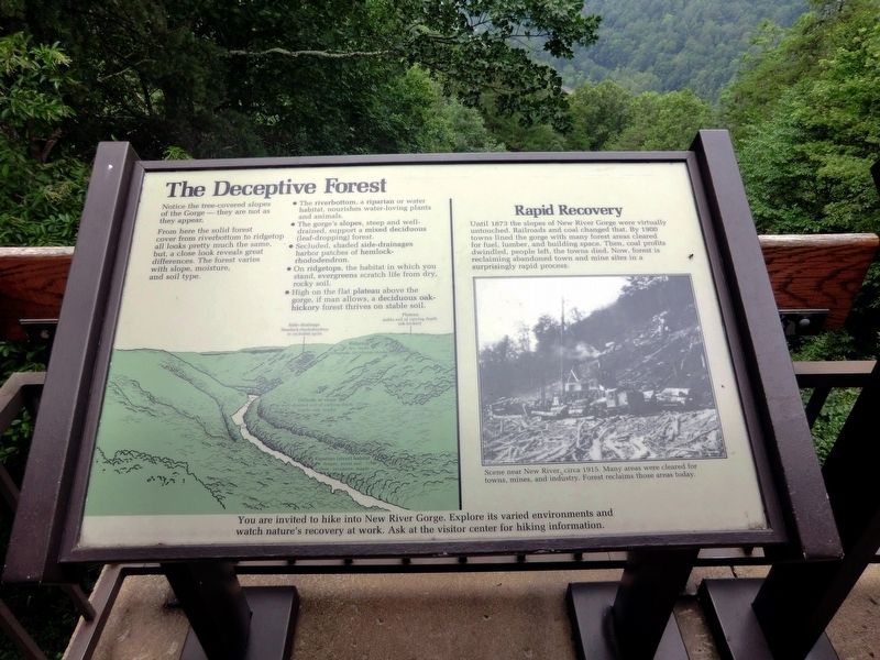 The Deceptive Forest Marker. Click for full size. The Deceptive Forest Marker image. Click for full size.