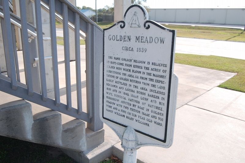 Golden Meadow Marker image. Click for full size.