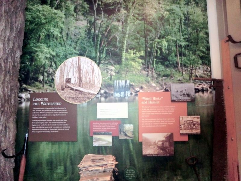 Inside the Sandstone Visitor Center. Click for full size. Inside the Sandstone Visitor Center image. Click for full size.