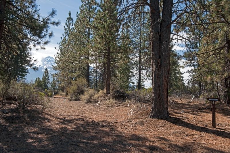 Yreka Trail - Sheep Rock Marker. Click for full size. Yreka Trail - Sheep Rock Marker image. Click for full size.