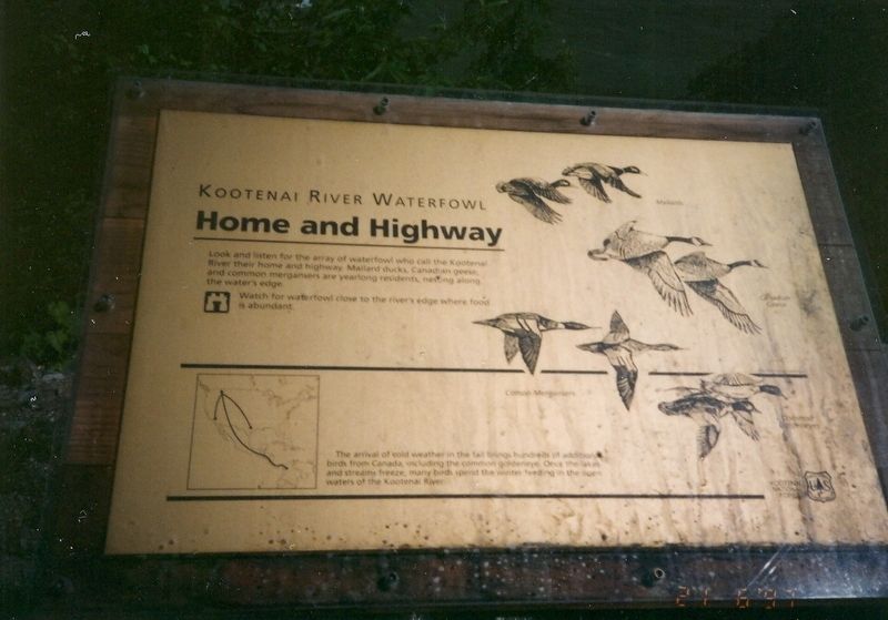 Kootenai River Waterfowl Home and Highway Marker image. Click for full size.