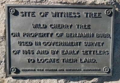 Site of Witness Tree Marker image. Click for full size.