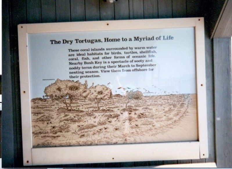The Dry Tortugas, Home to a Myriad of Life Marker image. Click for full size.