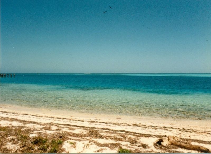 The Dry Tortugas beach image. Click for full size.