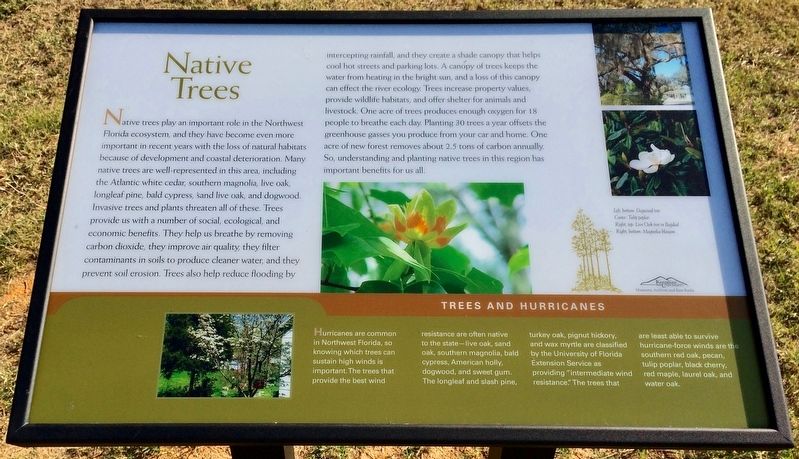 Native Trees Marker image. Click for full size.