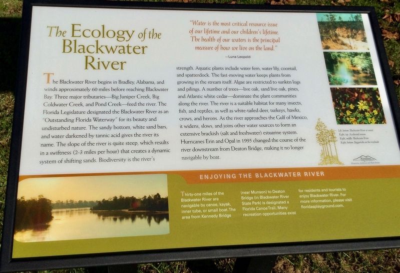 The Ecology of the Blackwater River Marker. Click for full size. The Ecology of the Blackwater River Marker image. Click for full size.