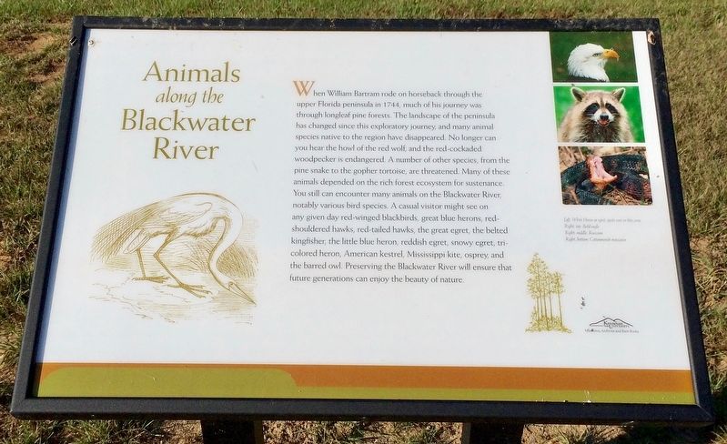 Animals Along the Blackwater River Marker image. Click for full size.