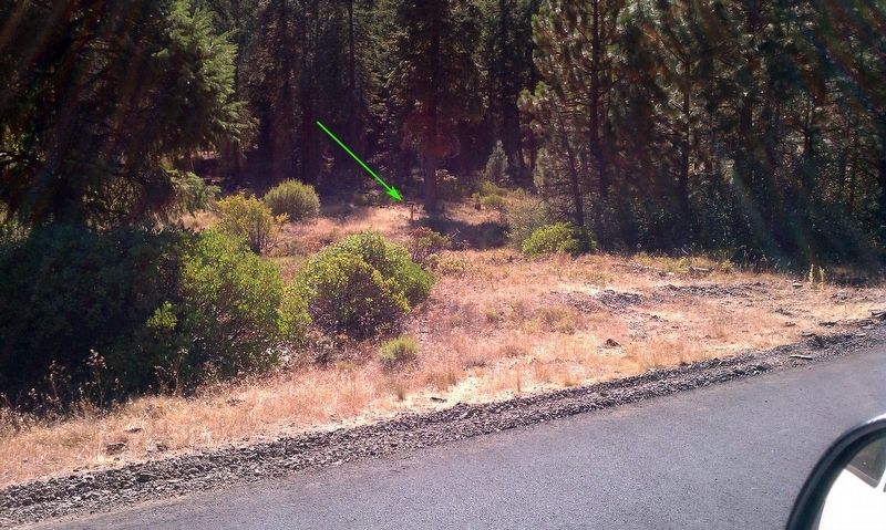 Bear Valley Marker. Click for full size. Bear Valley Marker image. Click for full size.