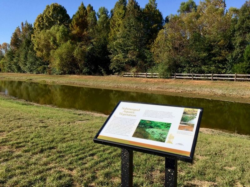 Marker along pond and vegetation. image. Click for full size.