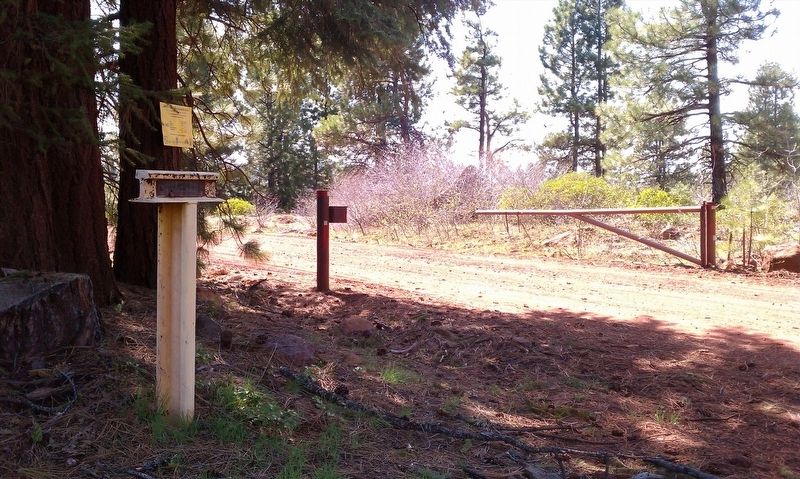 Weyerhaeuser Camp 4 Marker. Click for full size. Weyerhaeuser Camp 4 Marker image. Click for full size.