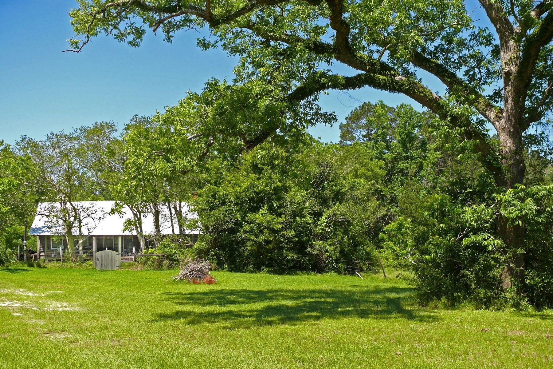 Wide View of Whitehead Home. Click for full size. Wide View of Whitehead Home image. Click for full size.