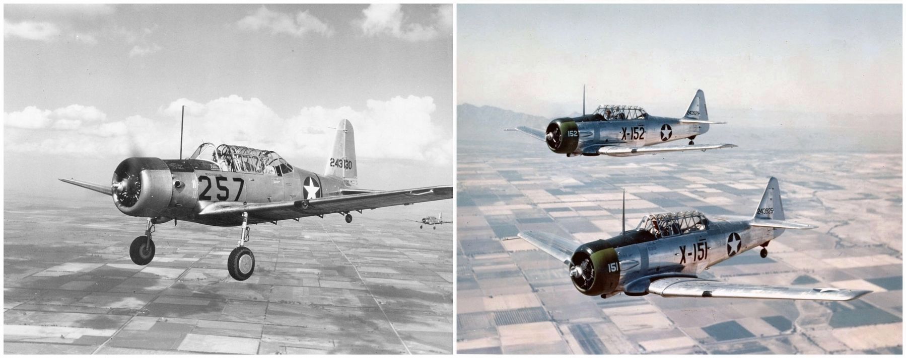 Vultee BT-13 Valiant / North American Aviation T-6 Texan aircraft. image. Click for full size.