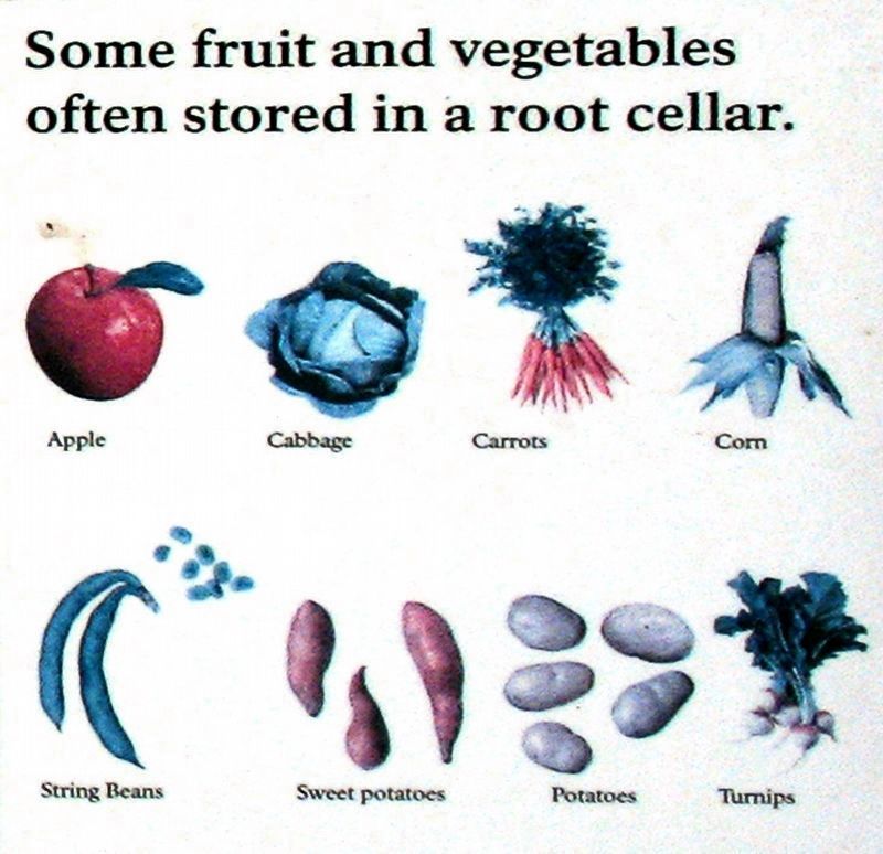 Some Fruits and Vegetables Often Stored in a Root Cellar image. Click for full size.