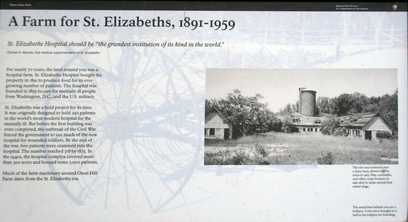 A Farm for St. Elizabeths, 1891-1950 Marker image. Click for full size.
