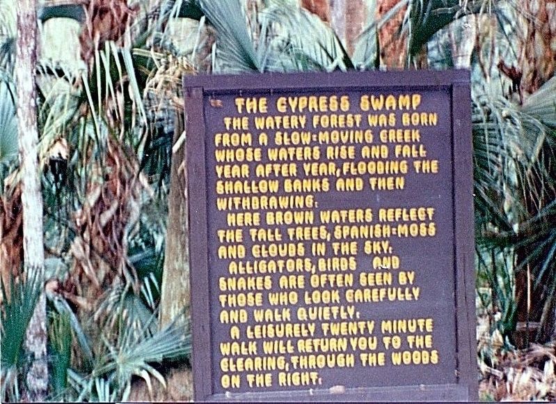 The Cypress Swamp Marker. Click for full size. The Cypress Swamp Marker image. Click for full size.