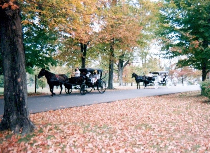 Horse and Buggy on park road image. Click for full size.