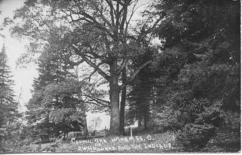 Council Oak/Col. D.W.H. Howard Marker image. Click for full size.