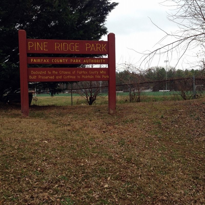 Pine Ridge Park. Click for full size. Pine Ridge Park image. Click for full size.