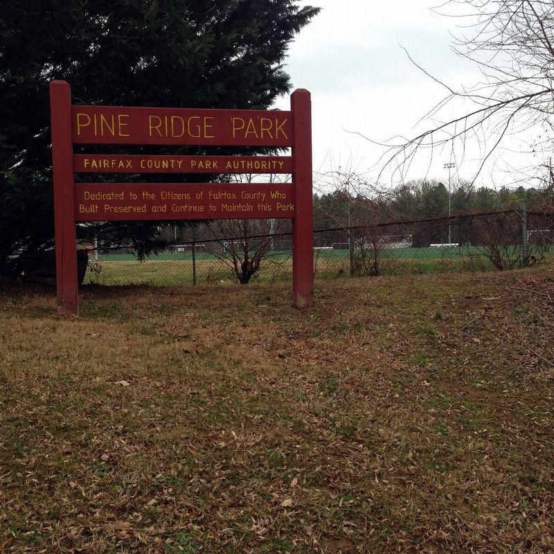 Pine Ridge Park image. Click for full size.