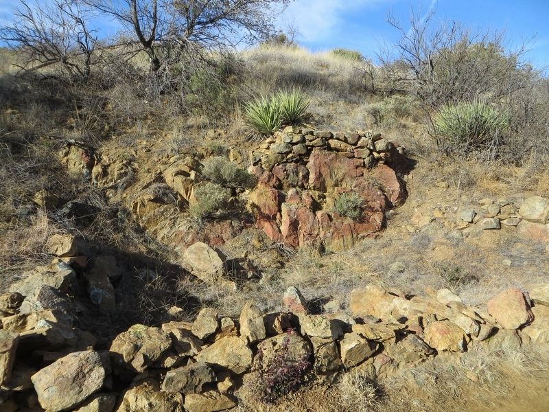 Mining Cabin ruins image. Click for full size.