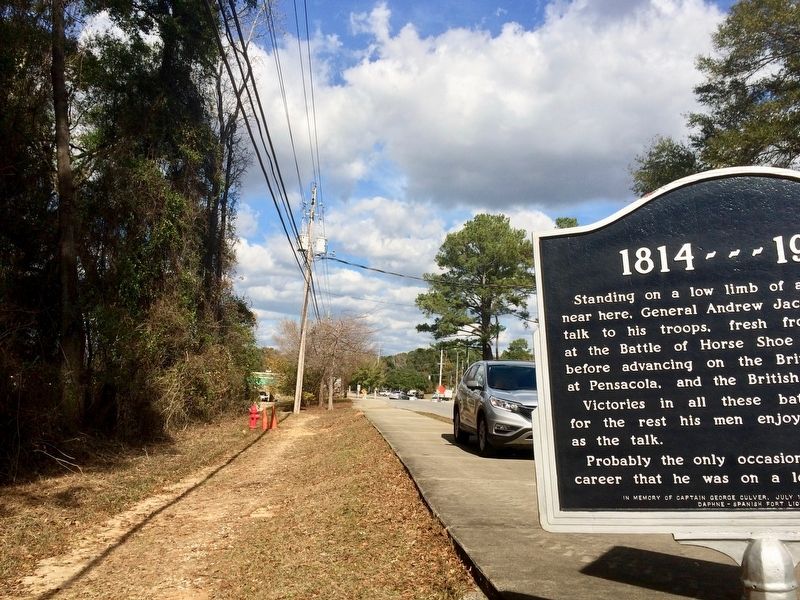 View of marker looking north towards U.S. Highway 98. image. Click for full size.