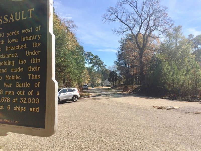 View looking south on Cora Slocumb Drive. image. Click for full size.