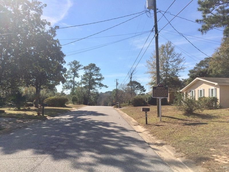 View of marker looking west on General Gibson Road. image. Click for full size.