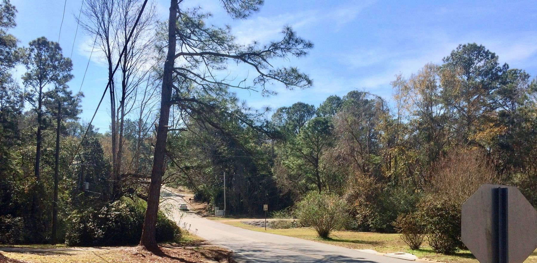 View of the old road bed behind speed limit sign. image. Click for full size.