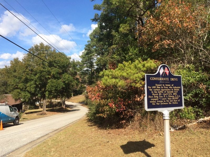 Looking north on Confederate Drive. image. Click for full size.