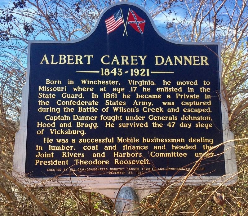 Albert Carey Danner Marker image. Click for full size.
