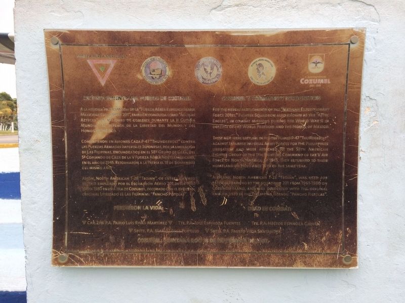 Tribute to the 201st Squadron of the Mexican Expeditionary Force Marker image. Click for full size.