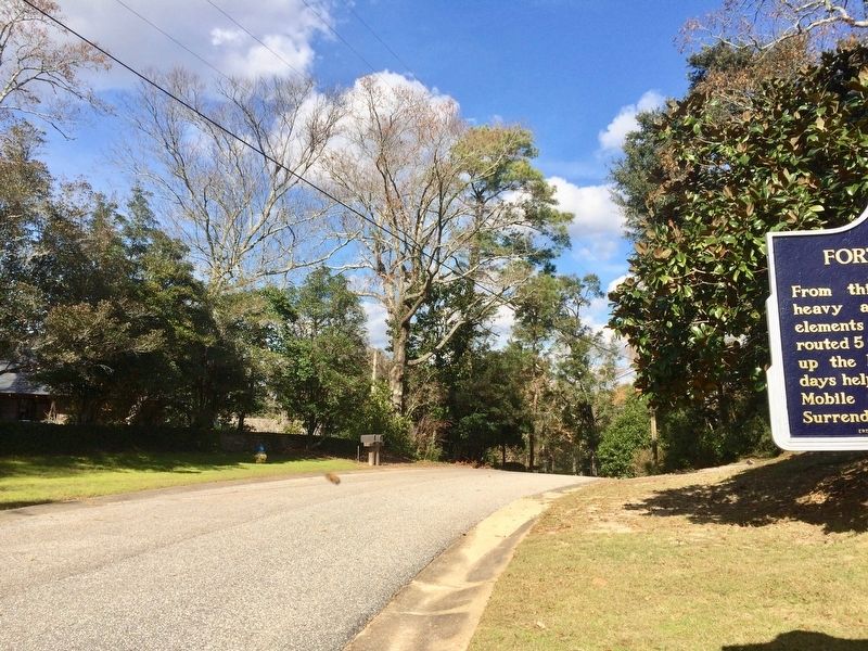 View north on Confederate Drive towards Cannonade Boulevard. image. Click for full size.