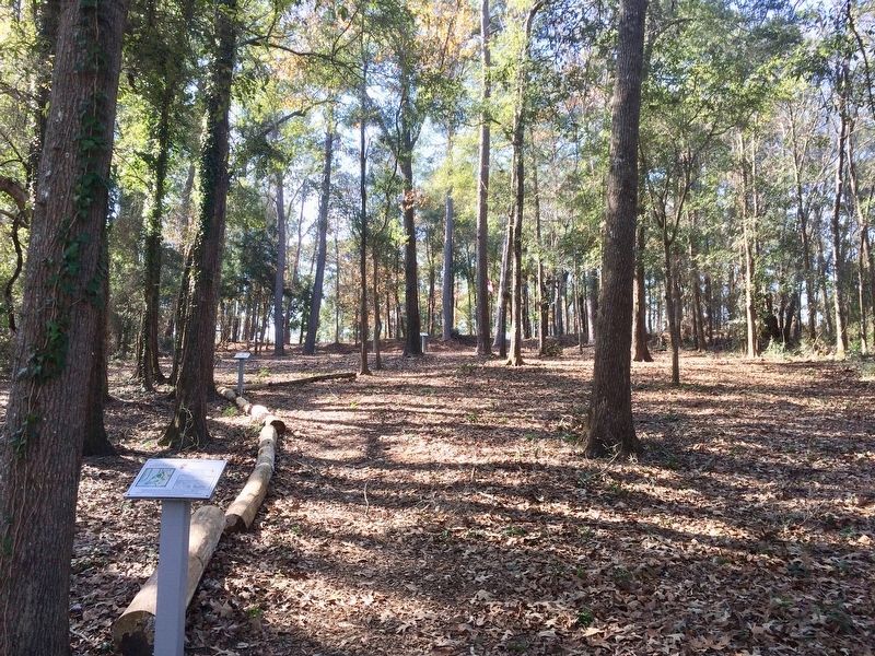 View of Ft. McDermott Confederate Memorial Park. Click for full size. View of Ft. McDermott Confederate Memorial Park image. Click for full size.