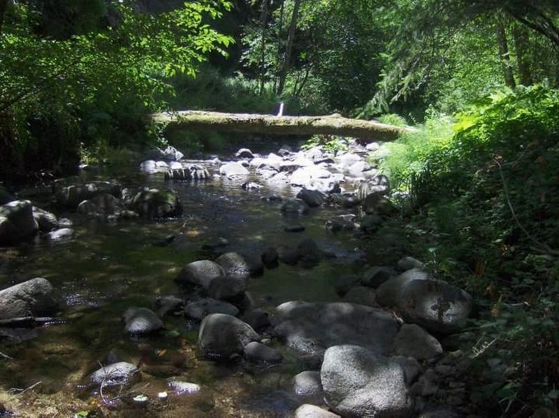 Big Creek image. Click for full size.