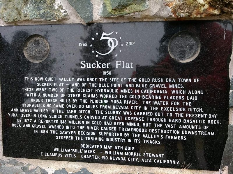 Sucker Flat Marker image. Click for full size.