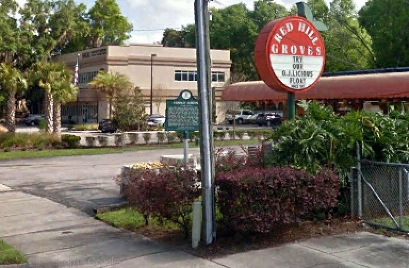 Citrus Industry and Red Hill Groves/Conway School Marker in front of Red Hill Groves image. Click for full size.