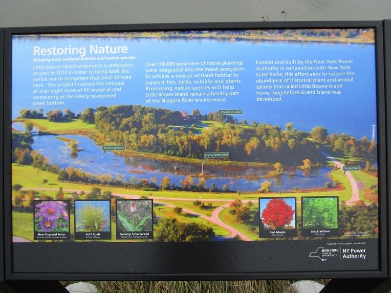Restoring Nature Marker image. Click for full size.