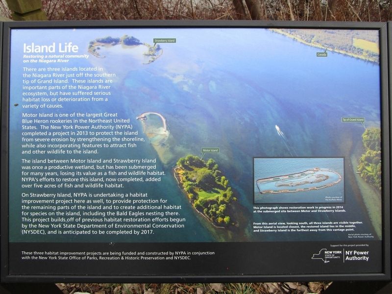 Island Life Marker. Click for full size. Island Life Marker image. Click for full size.