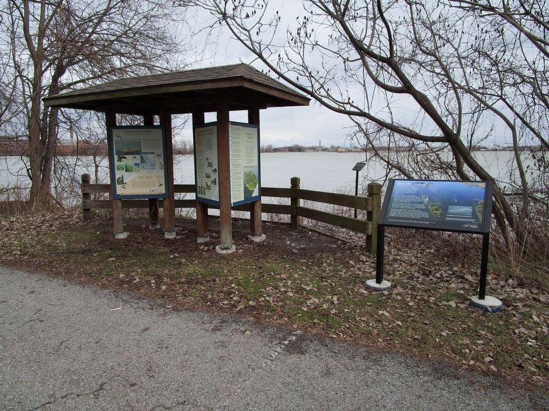 Island Life Marker at Right and Other Markers at Left. Click for full size. Island Life Marker at Right and Other Markers at Left image. Click for full size.