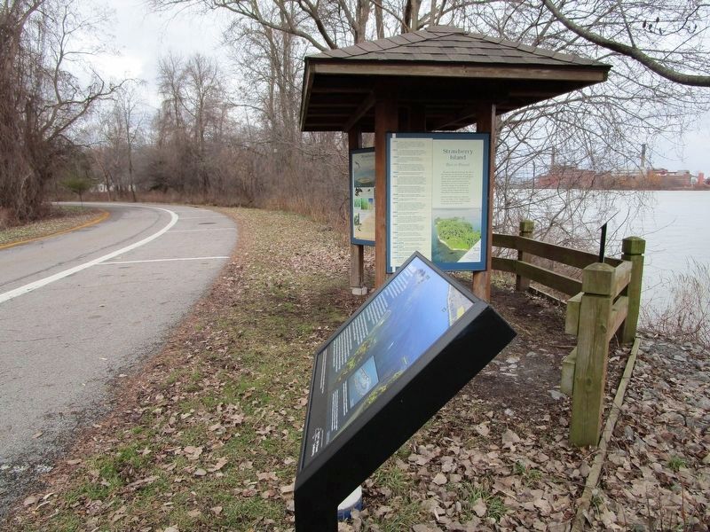 Strawberry Island Marker. Click for full size. Strawberry Island Marker image. Click for full size.